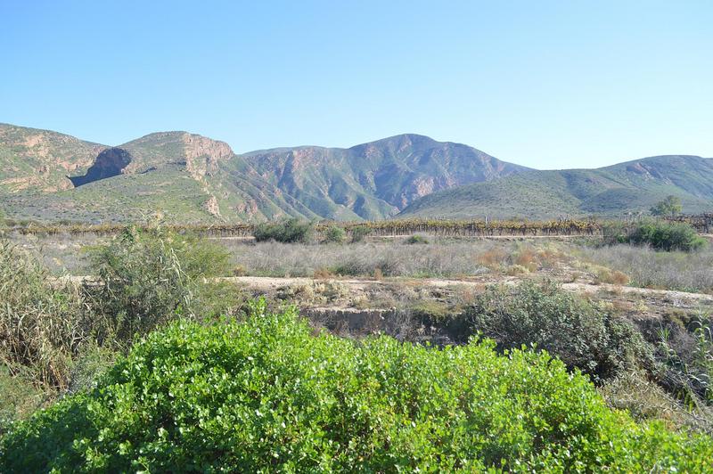3 Bedroom Property for Sale in Calitzdorp Western Cape